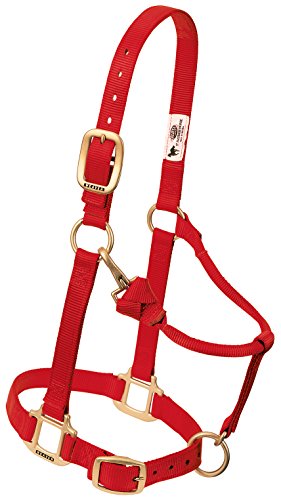 Weaver Leather 35-7035-RD Avg Halfter mit Schnappverschluss, 2,5 cm, Rot