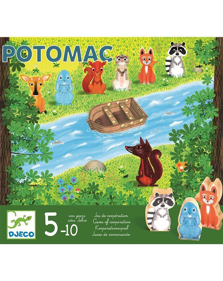 Gesellschaftsspiel POTOMAC in bunt 2