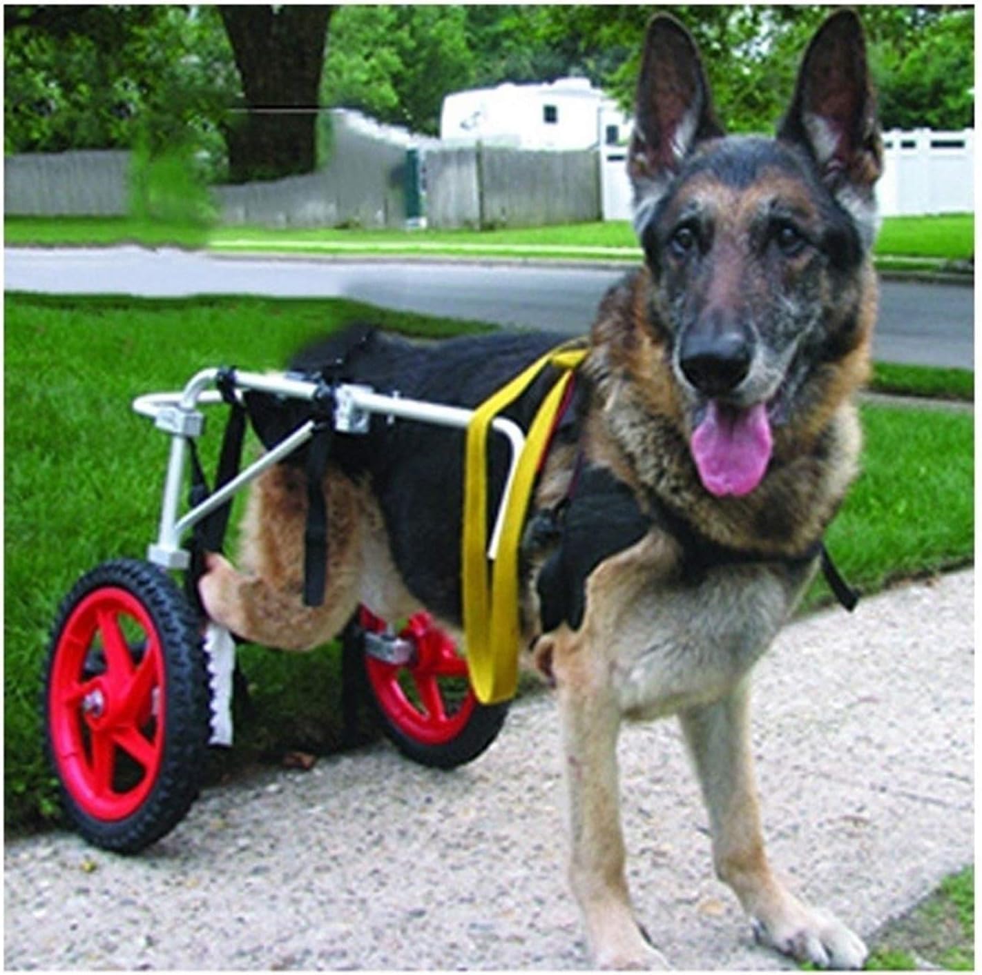 Rollstuhl für große Hunde, verbesserte Hunderäder für Hinterbeine, Haustierwagen, Hunderollstuhl, Rehabilitation der Hinterbeine, Walkin Wheels helfen Em Up Harness,XL