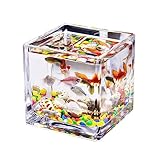 Aquarium Aquarium-Glas, quadratisch, verdickt, transparent, Aquarium, Arbeitsplatte, Kleiner Heimtank for Aquarien, ökologisches Schildkrötenbecken Aquarium-Kit(Groß)