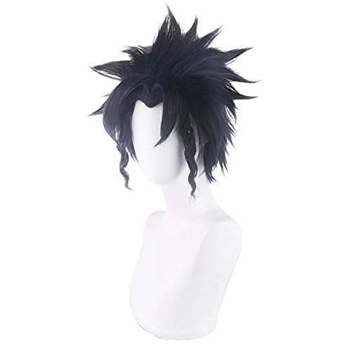 Anime cosplay perücke Anime. JoJo. Bizarres Abenteuer Kujo Jotaroh Perücke Cosplay Perücke Rollenspiel Mixed Black Blue Color 30cm