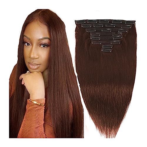 Clip-in-Haarverlängerungen 10-24" Remy Clip-in-Haarverlängerungen Echthaar for Frauenschönheit - 120 g schokoladenbraun gefärbte gerade 8 Stück 20 Clips echte menschliche Haar-Clip-in-Erweiterungen Cl