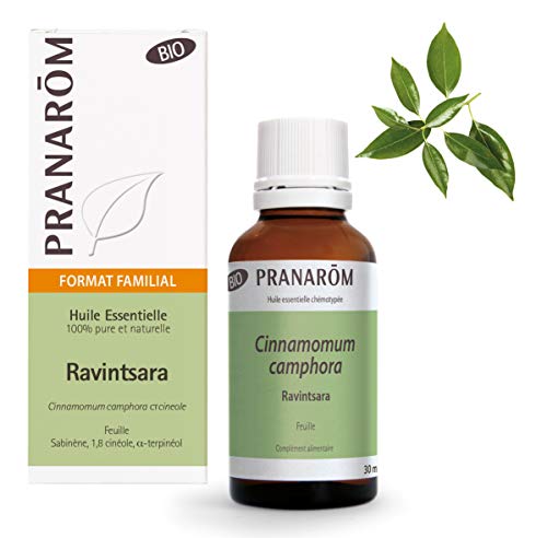 Pranarôm Ravintsara Bio ätherisches Öl, Blatt, 30 ml