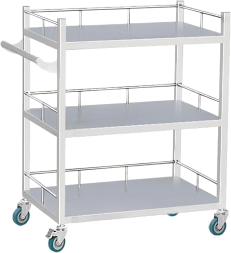 2-lagiger medizinischer Rollwagen aus Edelstahl | Ästhetisches medizinisches Labor, Klinik, Krankenhausausrüstung | 150 kg Tragfähigkeit, Keine Schubladen, 60 x 40 x 86 cm