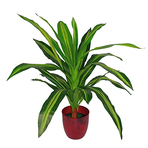 Leaf Design Tropische Kunstpflanzen., LEAF-Tropical, 90 cm Dracaena, 90 cm