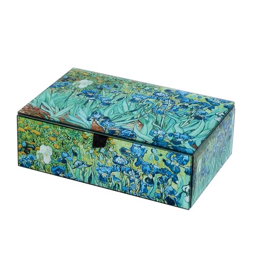 Aurgiarme Praktische Schmuck-Organizer-Box, vielseitige Schmucksortierbox mit Schutzglas für Sammlungen