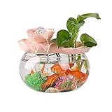 Kleines Aquarium,Starter Aquarium, Kreatives Zirkulierendes Wasser Aquarium Glasfenster Desktop Kleines Haushaltsgold Aquarium Landschaftsgestaltung Dekoration Ornamente Aquarium Tank(7.48IN)