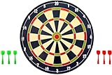 Bull's Magnetic Dartboard