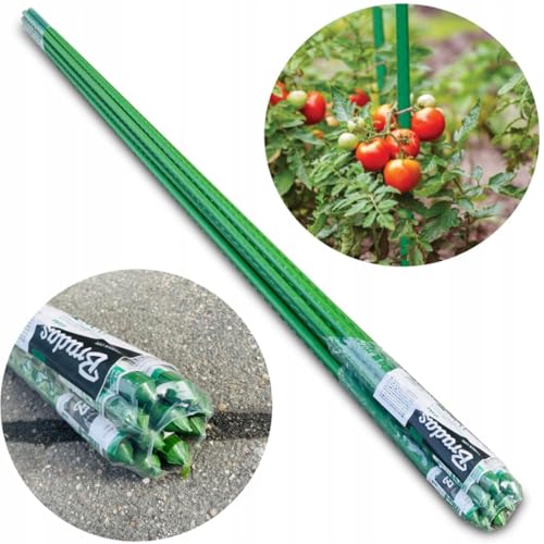 ARPON Tomaten rankhilfe| Pflanzliche Unterstützung 10 St.| Pflanzenstäbe für Kletterpflanzen| Stäbe Pflanzen 180 cm| Grüne Plant Sticks|Pflanzenstütze