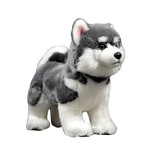 DANAIM Husky Stofftier, 10 Zoll Grauer Alaskan Hund Plüschtier Malamute Süßer Welpe Umarmungsspielzeug Geschenk for Kindergeburtstag