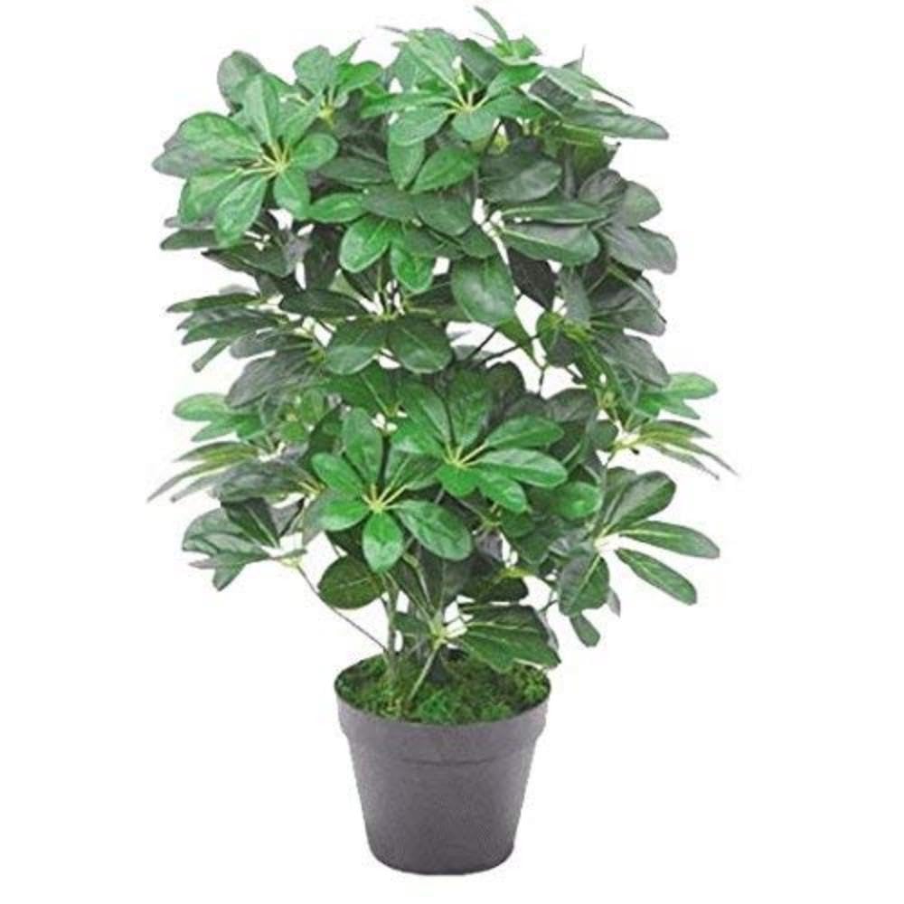 Leaf Künstlicher Schefflera Arboricola Regenschirm, 55 cm, Schwarz, 55 cm dunkler Busch, 55cm Dark Bush