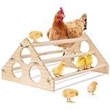 OLACD Entertainment Toy for Chicks, Wooden Chicken Jungle Gym Barch, Coop & Brooder Chick Stand Barch, 16.14 x 10.63 x 7.08 Inch Wood Roosting Bar