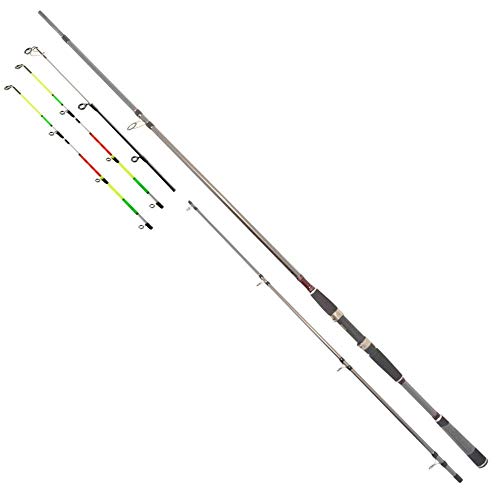 Daiwa Seahunter X Variotip 2,40m 30-110g