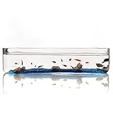 Mini Aquarium Aquarium Kleines Glas Rechteckiges Aquarium Aquarium Ökologisches Aquarium Transparentes Glas Wohnzimmer Büro Desktop Aquarium Dekoration Kleines Aquarium(L)