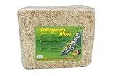 Lucky Reptile Sphagnum Moss - 500 g Terrarienmoos Ziegel für Reptilien - Terrarium Moos zur Erhöhung der Luftfeuchtigkeit - Moos aus kontrolliertem Anbau für Orchideen & Bromelien - Reptilien Zubehör