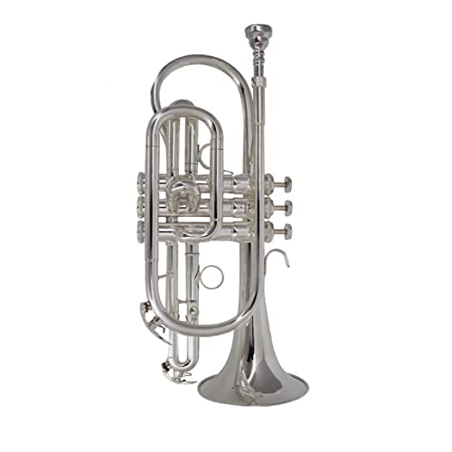 ZENGXUE BB-flache Trompete Professionell Versilbert Mit Mundstück Und Tragetasche Musikinstrument Standard-Trompetenset