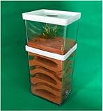 AntHouse Ameisennest Box Insektenkäfig Gips Ant Farm Insekt Villa Educational Formicarium Habitat Für Haus Ameisen Geburtstagsgeschenk-1