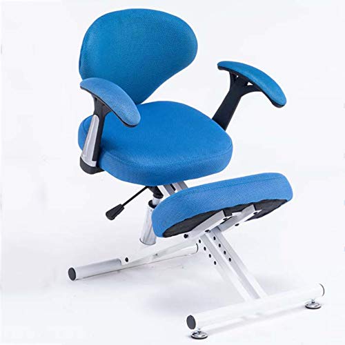 BFVAKBKYT Home Office Ergonomischer Schreibtischstuhl, Kann Nacken- und Rückenschmerzen lindern, geeignet for Büro, Meditation und Sport(Blue)