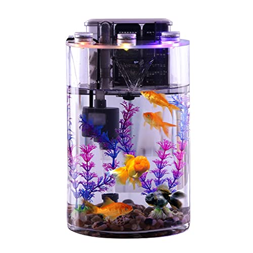 Kleiner Tank Aquarium, tragbare Fischschale Tank, Transparentes zylindrisches Aquarium aus Glas for den Schreibtisch im Haushalt, for faule Menschen, ohne Wasserwechsel, ökologisches Goldfischbecken,