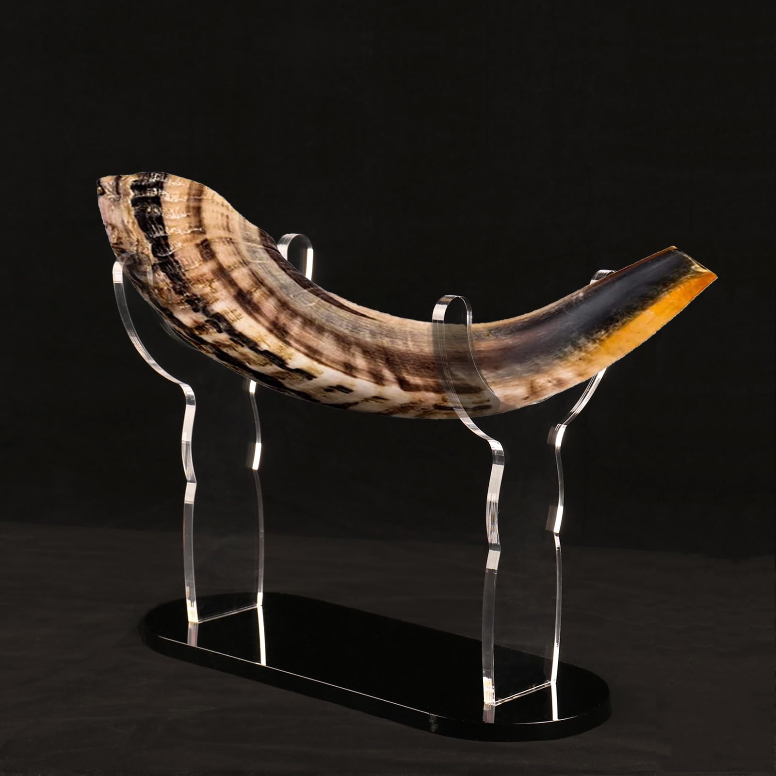 Shofar Ständer, Shofar Display Ständer, Acryl Shofar Display Ständer, Schofar Sammlung Display Ständer, für Schofar Heimdekoration (schwarz)