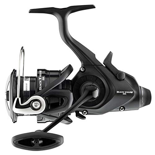 Daiwa 19 Black Widow BR LT 4000-C