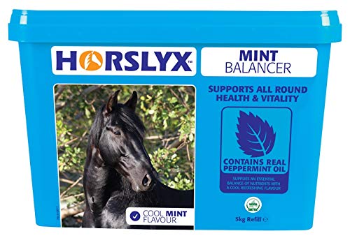 Derby Horslyx Mint 5 kg