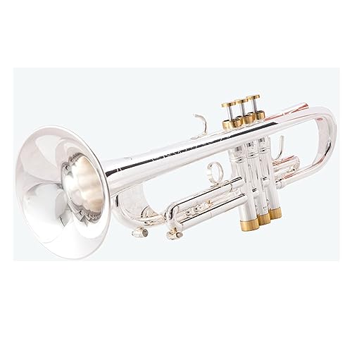 Trompete, Versilberter Goldschlüssel, Flat Bb, Professionelle Trompeten-Musikinstrumente Blechblasinstrumente Anfänger (Color : 02)