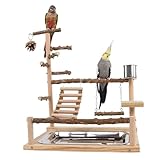 Bird Playground Naturalholz Papageienständer mit Feeder Cup Bird Perch Spiel Spiel Fitnessgottes Guardgie -Spielzeug Papageien Barch 14.6 * 10,2 * 17,7 Zoll Haustierbedarf