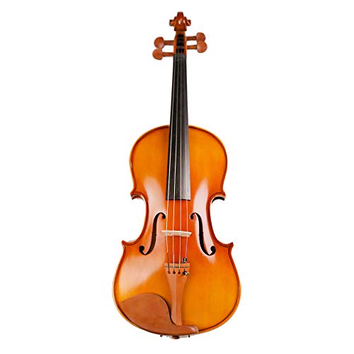 Lmzzdld Studenten Ahorn Violine Saiten Musikinstrument mit Koffer Bogen Saiten Full Set Jujube Zubehör 4/4 Violine