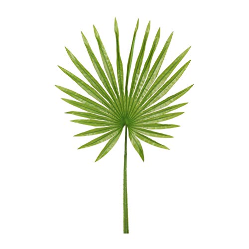 wohnfuehlidee Kunstpflanze Fächerpalmwedel, 2er Set, Farbe dunkelgrün, Höhe ca. 90 cm