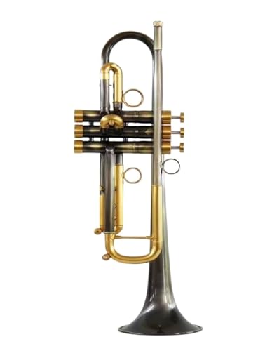 Standard Trompete Trompeteninstrument TLSM-8335GS Gold versilbert Phosphorbronze Einsteigertest(Color:Bronze)