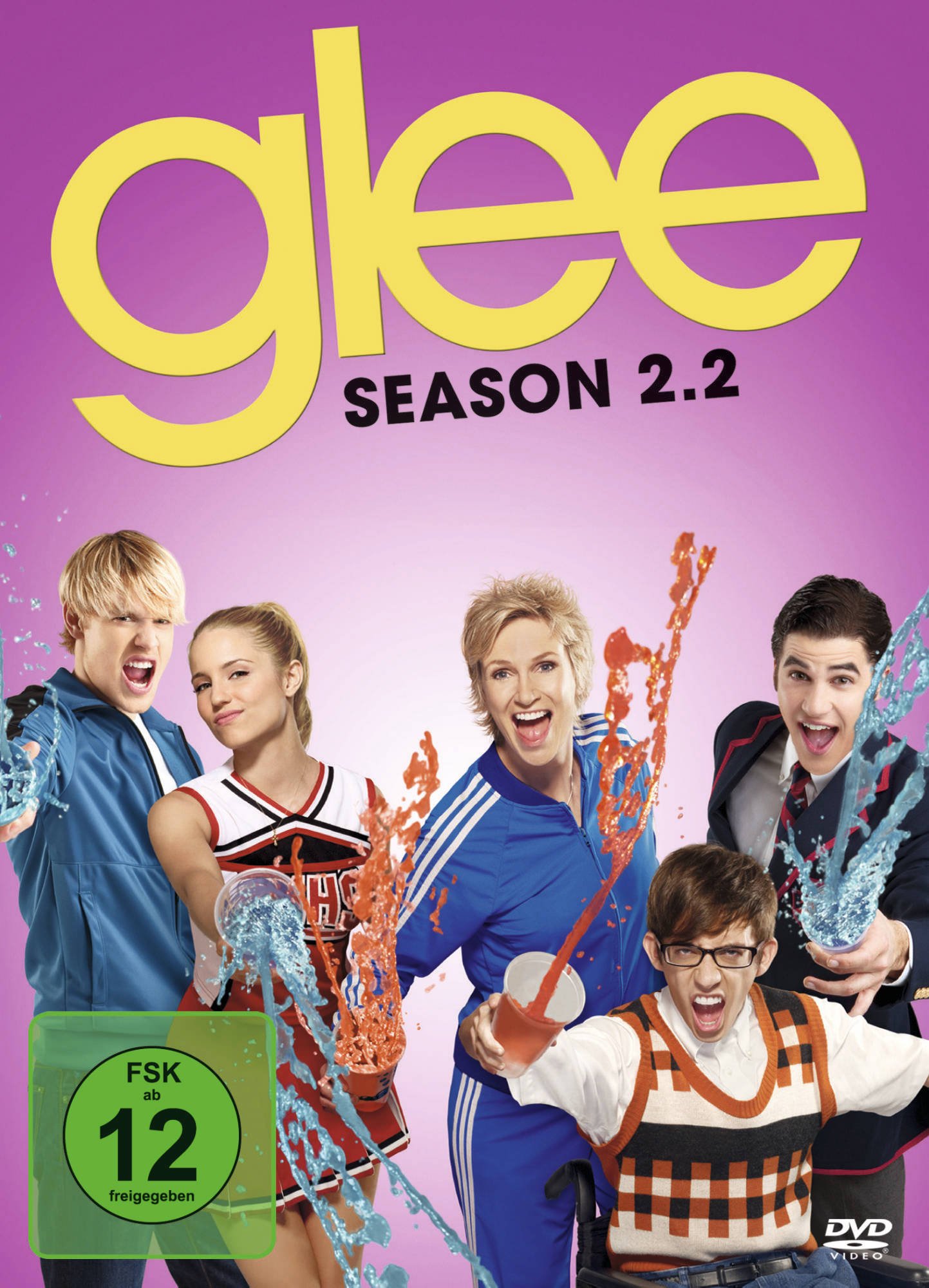 Glee - Season 2.2 [4 DVDs]