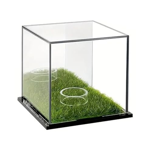 JUNNASALIKER Acryl-Golfball-Vitrine, transparent, Baseball-Halter, Display-Box, quadratisch, staubdicht, kleiner Golfballkoffer