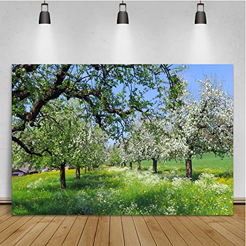 Bäume sprießen Grüne Wiese Blumen Frühling Landschaft Zimmer Dekor Hintergrund Fotografische Foto Hintergrund für Fotostudio / 210x150