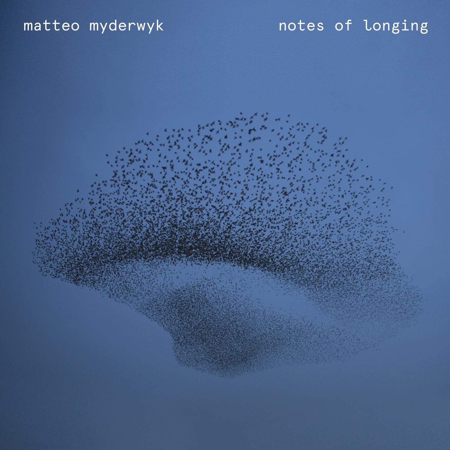 Notes of Longing [Vinyl LP]