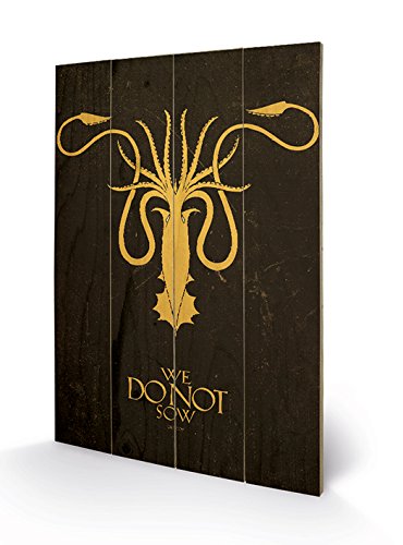 Pyramid International Game of Thrones (Greyjoy) Holzwand-Kunst, Holz, Mehrfarbig, 40 x 2.5 x 59 cm