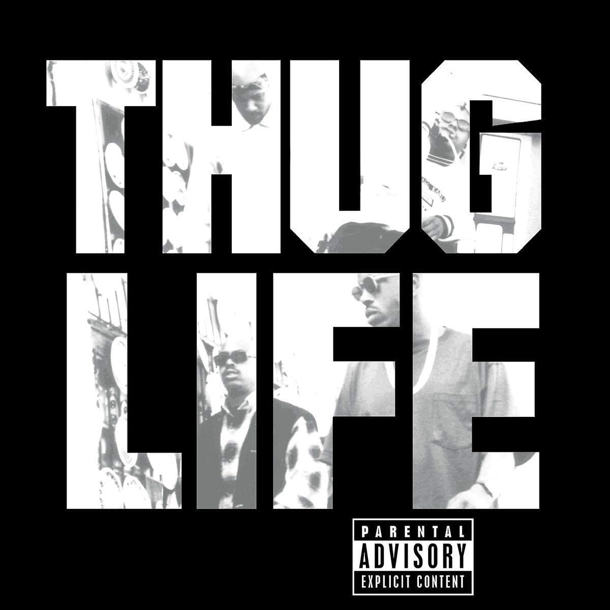 Thug Life: Volume 1 [Vinyl LP]