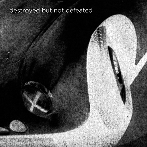 Destroyed But Not Defeated [Vinyl LP]