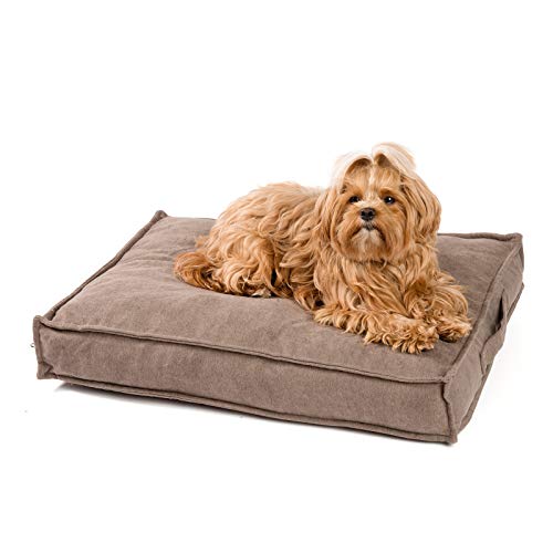 JAMAXX Premium Hundekissen Orthopädisch Memory Visco Schaum Waschbar Abnehmbarer Bezug Wasserabweisend - Weicher Samtiger Sofa Stoff - Hundebett PDB1001 (S) 65x50 Sand