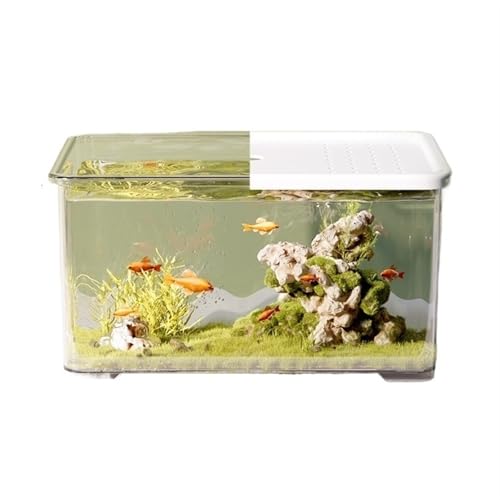 Aquarium, Transparentes Acryl mit Schiebedeckel, kleines Wohnzimmer, Schreibtisch, Büro, Dekoration, Schildkrötenbecken, Fischglas(White)