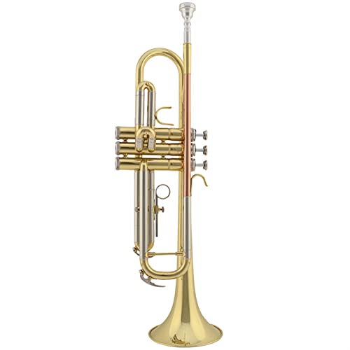 Trompeten Trompete B Flachlack Gold-Trompete Trompete aus Messing