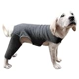 Hunde Leggings Umwickelt Hintere Bein Und Sorgt Für Wärme Und Unterstützung Für Verletzte Alternde Haustiere. Gegen Lecken Mehrerer Größen Und Weniger Beschwerden