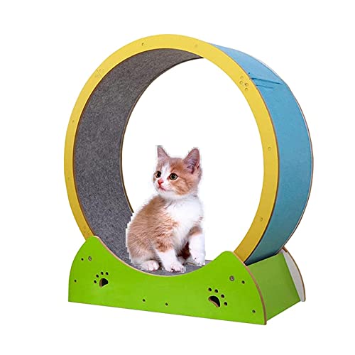 Laufband für Katzen, Klettergerüst für Katzen, Riesenrad, Katzenkratzer, Laufen, Spinning-Spielzeug für Katzen, kleine/mittelgroße tägliche Übungen