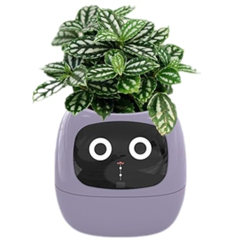 Begchy Ivy Smart Planter, USB Wiederaufladbarer Kleiner Blumentopf für Den Innenbereich Als Dekoration für Den Innenbereich, Macht das Pflanzenaufziehen Einfach und Macht Spaß, Lila