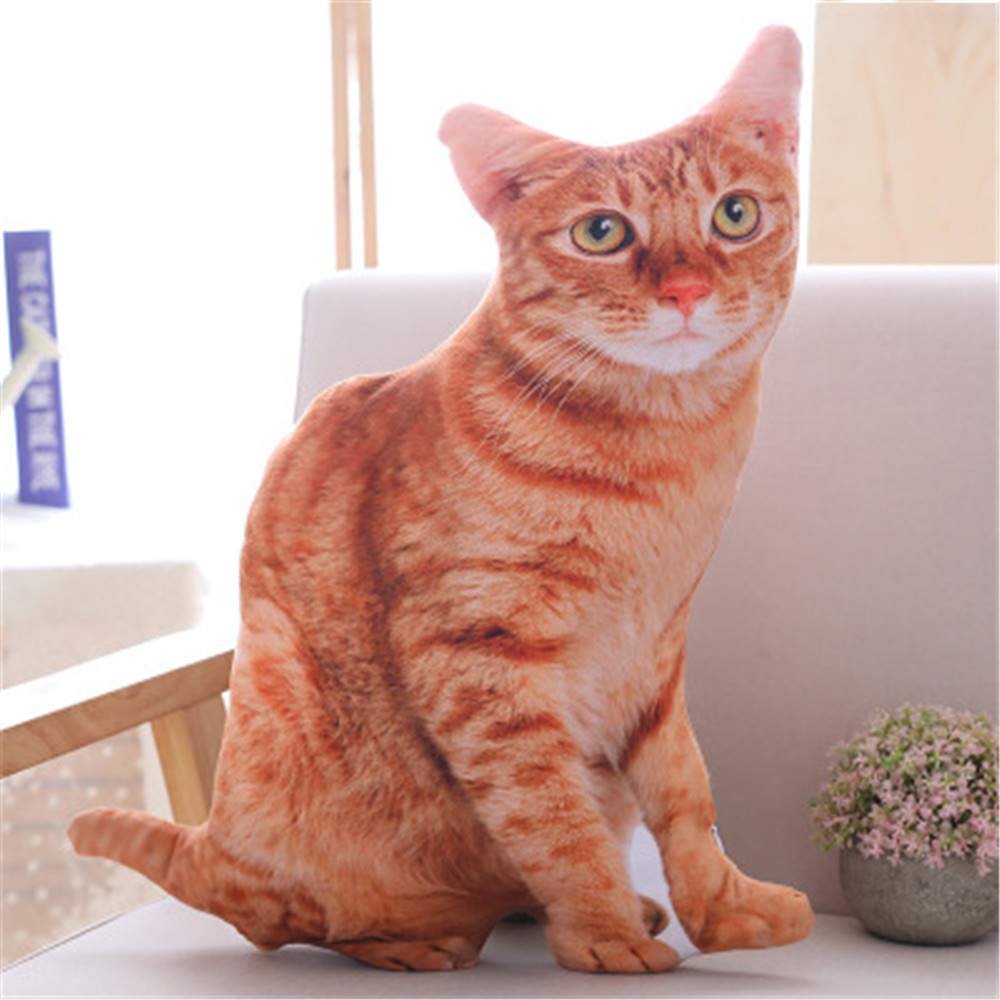 Nicole Knupfer 3D Zierkissen mit waschbarem Bezug, Cute Katze, Dekokissen, weiches Kopfkissen, Sofakissen Couchkissen Home Decoration, geeignet für Allergiker (B,70cm)