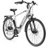 TELEFUNKEN E-Bike 28 Zoll, RH: 52 cm, 24-Gang - grau | weiss