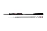 DAIWA Ninja X-Compact Spin 8010MH, 2,45m, 8ft, 15-50g, 9+1Teile, Tele Reise Angelrute im stabilen Hardcase