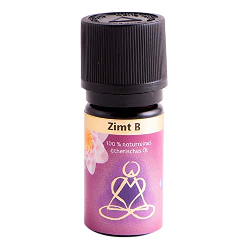 Berk Holy Scents, Zimt B, 5ml (5)