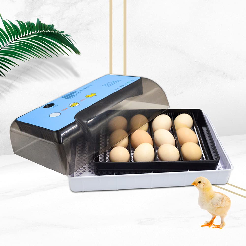 12 Eier Mini Digital Inkubator Ei Vollautomatischer Inkubatoren Brutmaschine Hühnereier mit LED Geflügel Inkubator Temperatur und Luftfeuchtigkeit für Hühner, Enten, Vögel