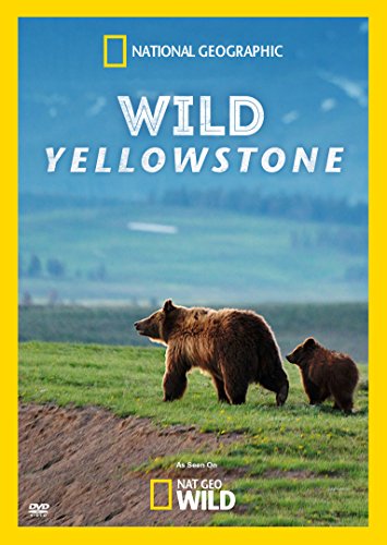 Wild Yellowstone [DVD] [Import]